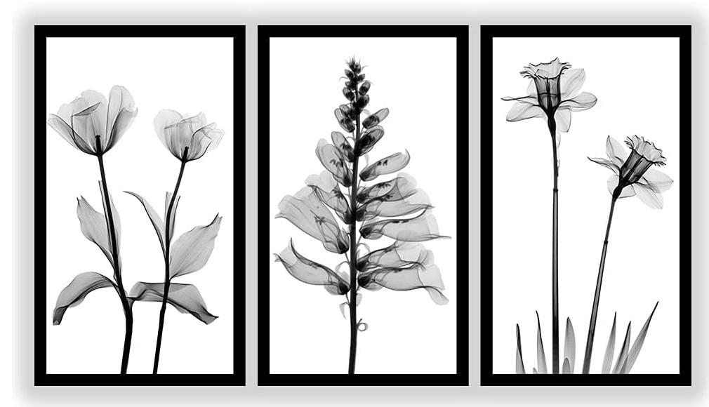 Conjunto de quadros com estampas de flores em preto e branco. 